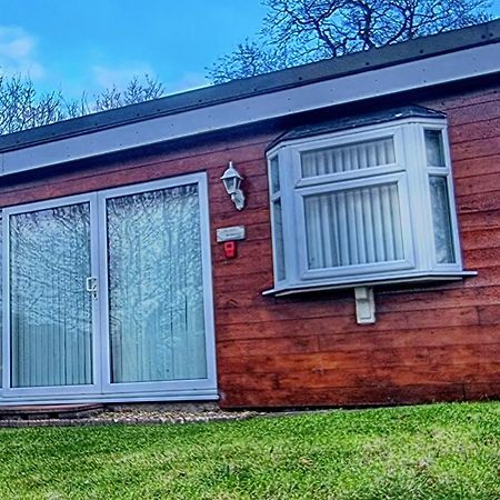 Ranger - Snowdon Cabins Holiday Let Caernarfon Caeathro Exterior photo